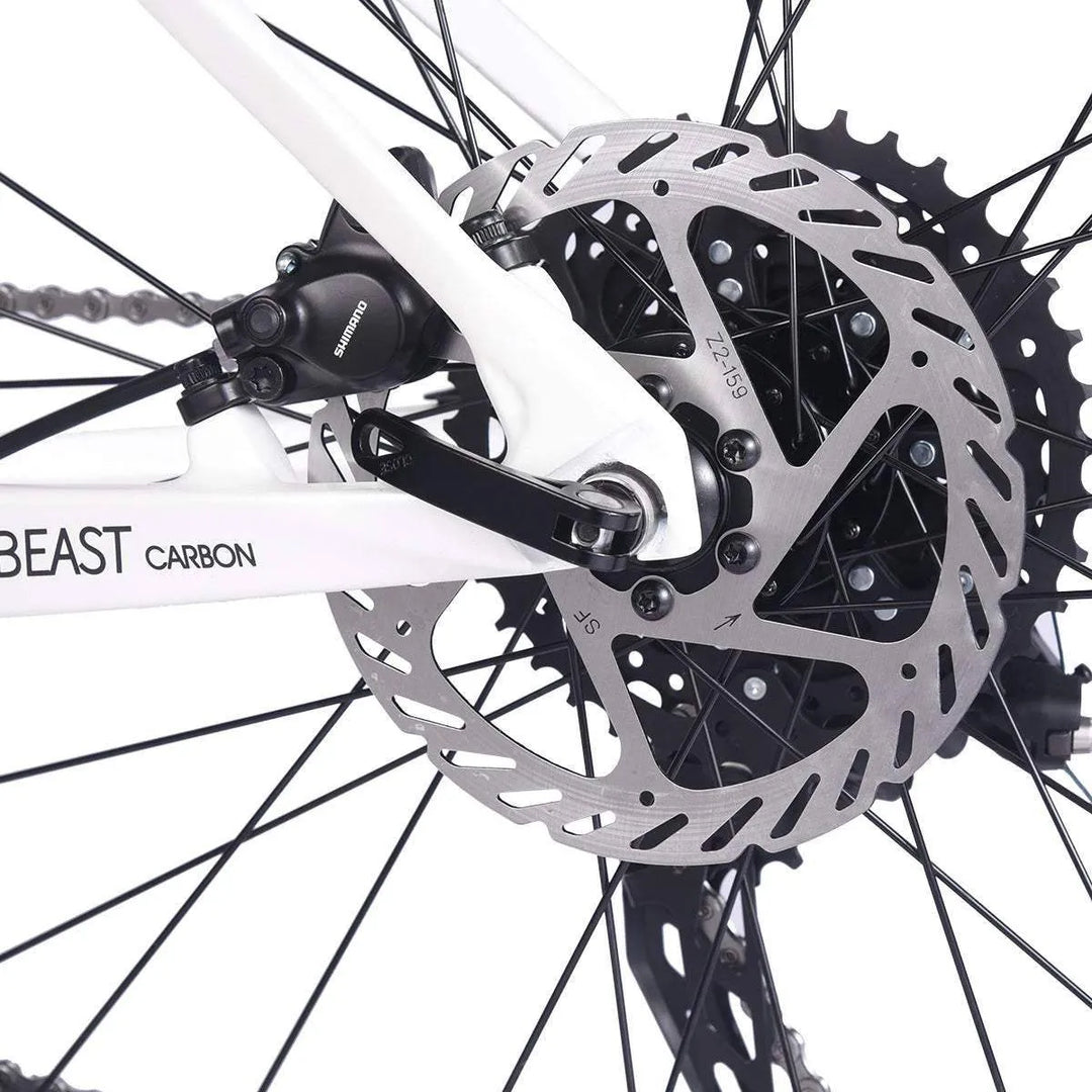 2023 SAVA BEAST U4.0 Carbon Hardtail Mountain Bike 20 Speed - SAVA Carbon Bike
