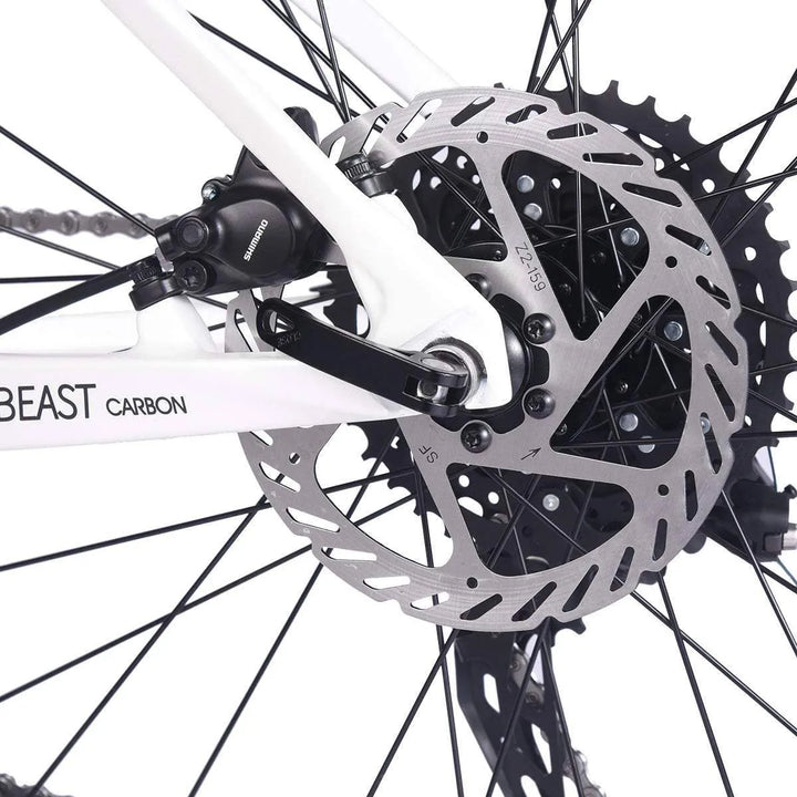 2023 SAVA BEAST U4.0 Carbon Hardtail Mountain Bike 20 Speed - SAVA Carbon Bike