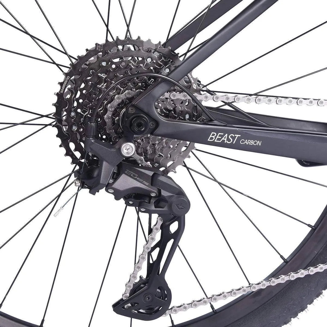 2023 SAVA BEAST U6.0 Carbon Hardtail Mountain Bike 22 Speed - SAVA Carbon Bike