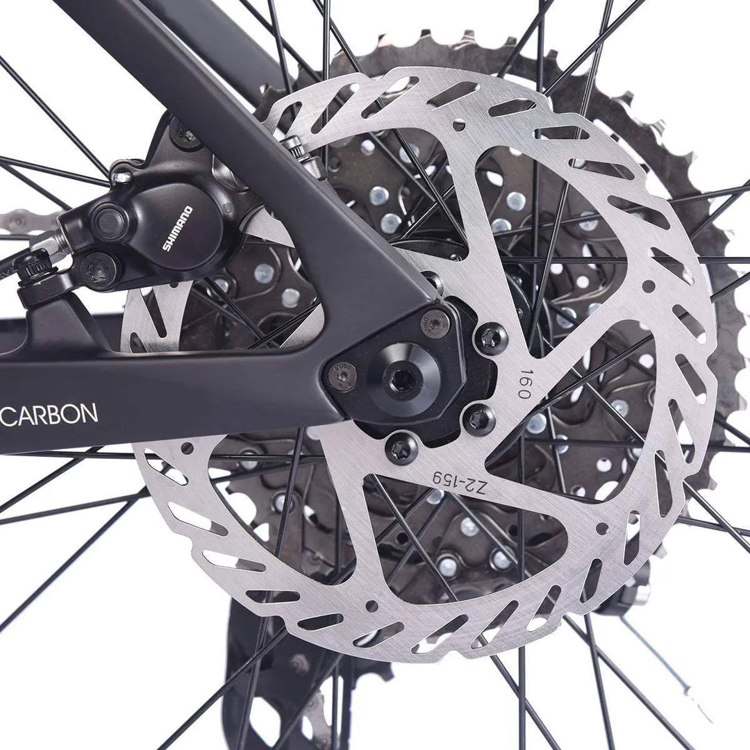 2023 SAVA BEAST U6.0 Carbon Hardtail Mountain Bike 22 Speed - SAVA Carbon Bike