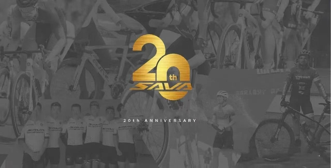 SAVA 20th Anniversary