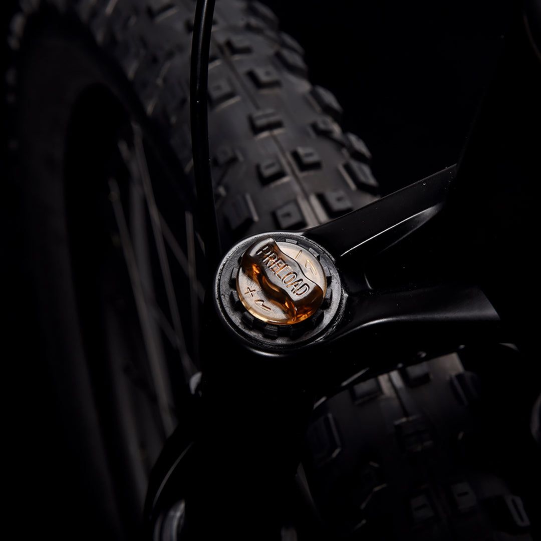 Bicicleta de montanha de carbono SAVA DECK1.0 com LWTOO 36 velocidades