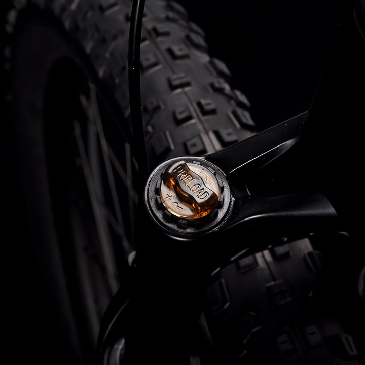 Bicicleta de montanha de carbono SAVA DECK1.0 com LWTOO 36 velocidades