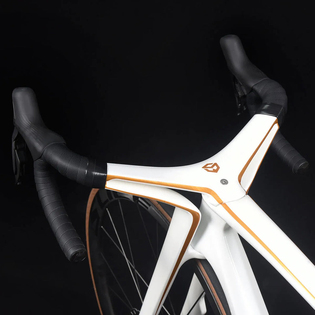 Bicicleta de estrada totalmente em carbono Dream Maker Ultegra Di2 24S