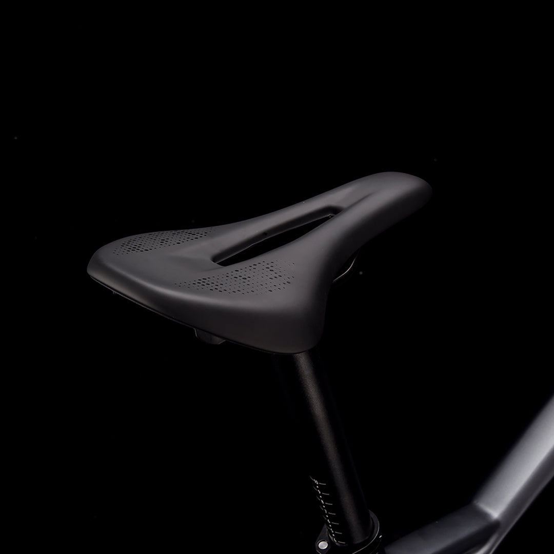 Bicicleta de montanha de carbono SAVA DECK1.0 com LWTOO 36 velocidades