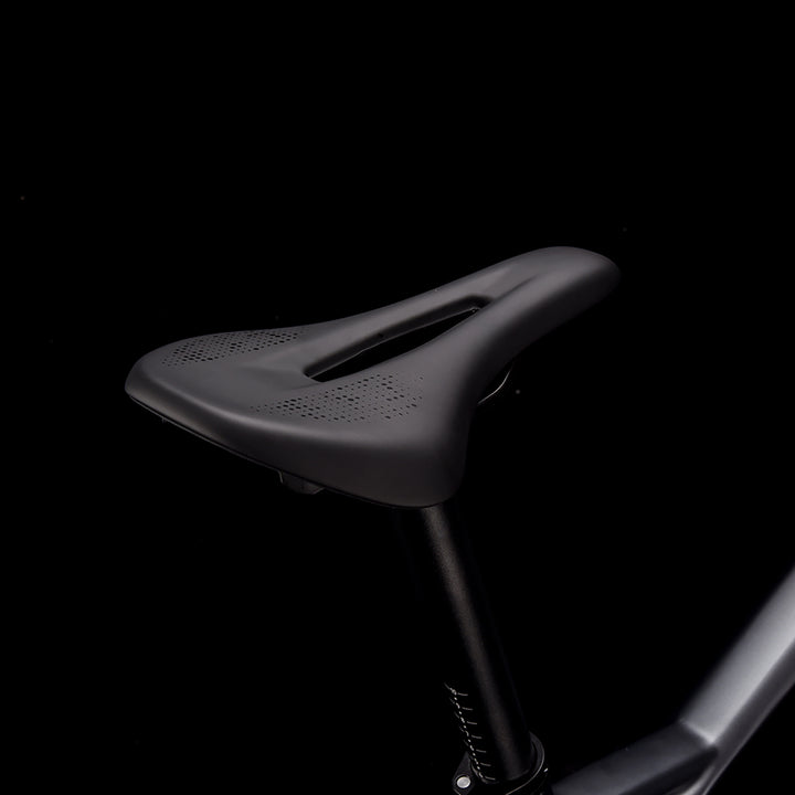 Bicicleta de montanha de carbono SAVA DECK1.0 com LWTOO 36 velocidades