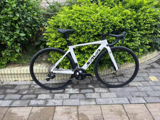SAVA carbon road bike with white frame parked on sidewalk near green bushes