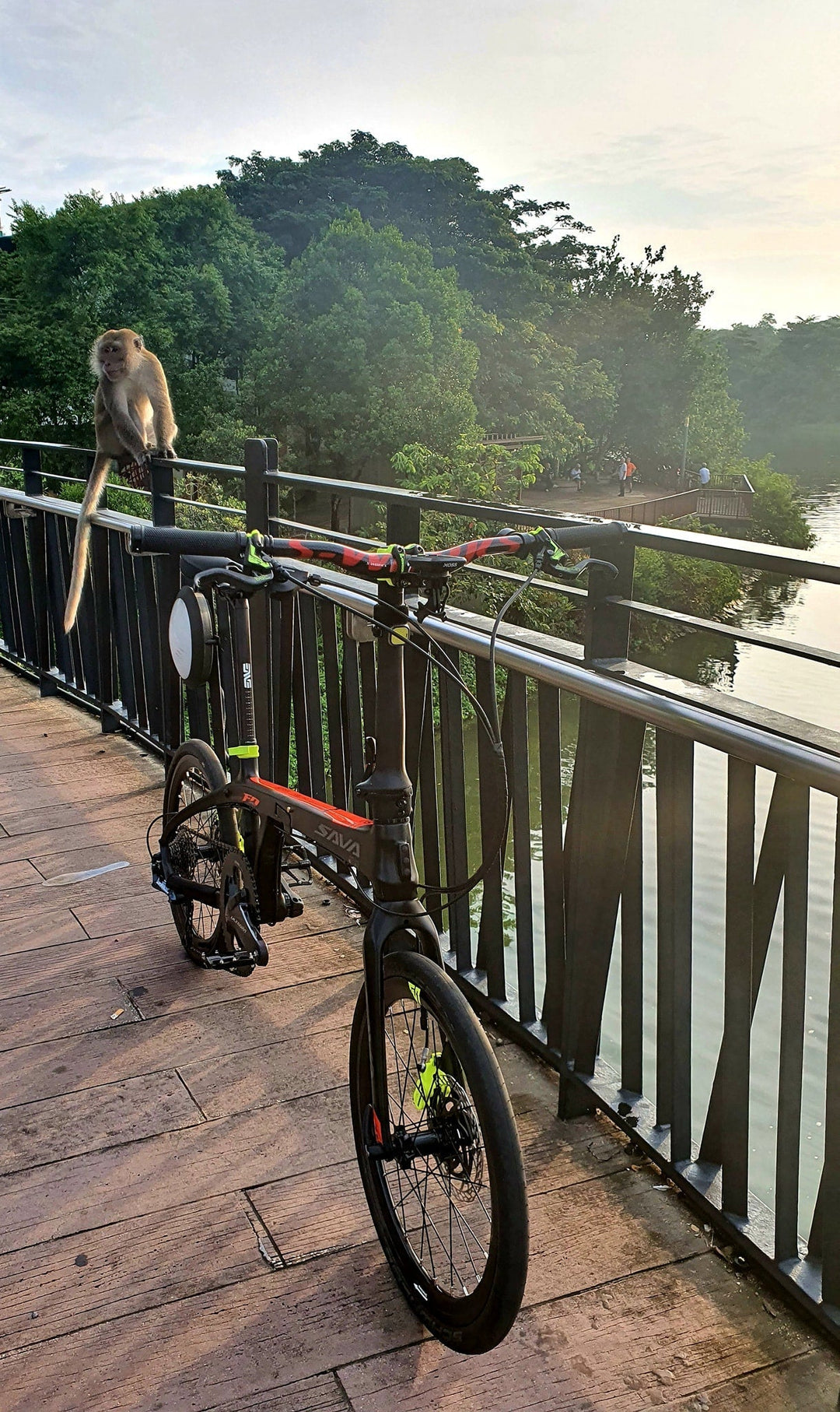 SAVA carbon folding bike on bridge with a monkey sitting on railing, river and trees in background