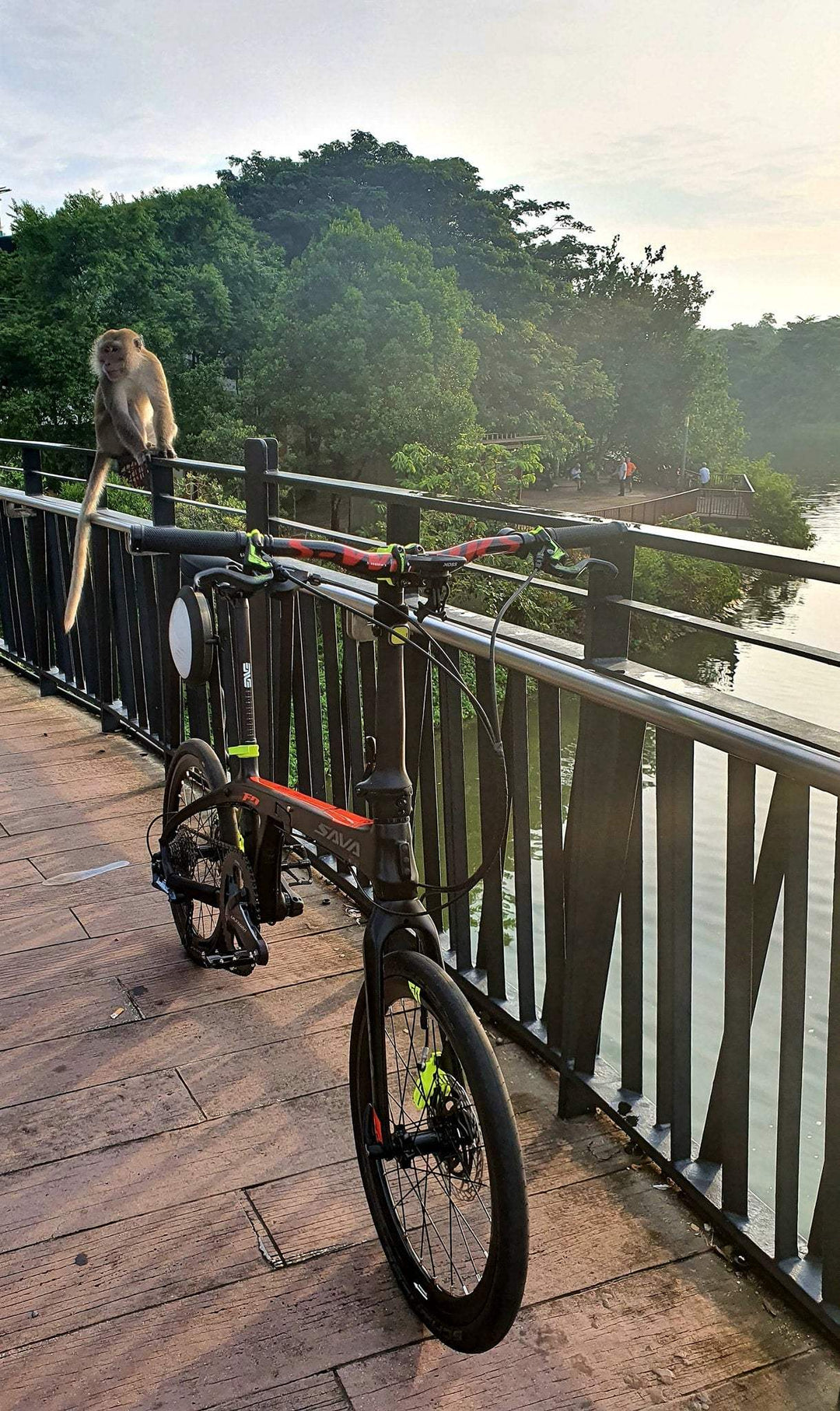 Sleek and Portable: SAVA Folding Bikes for an Effortless Commute - SAVA Carbon Bike