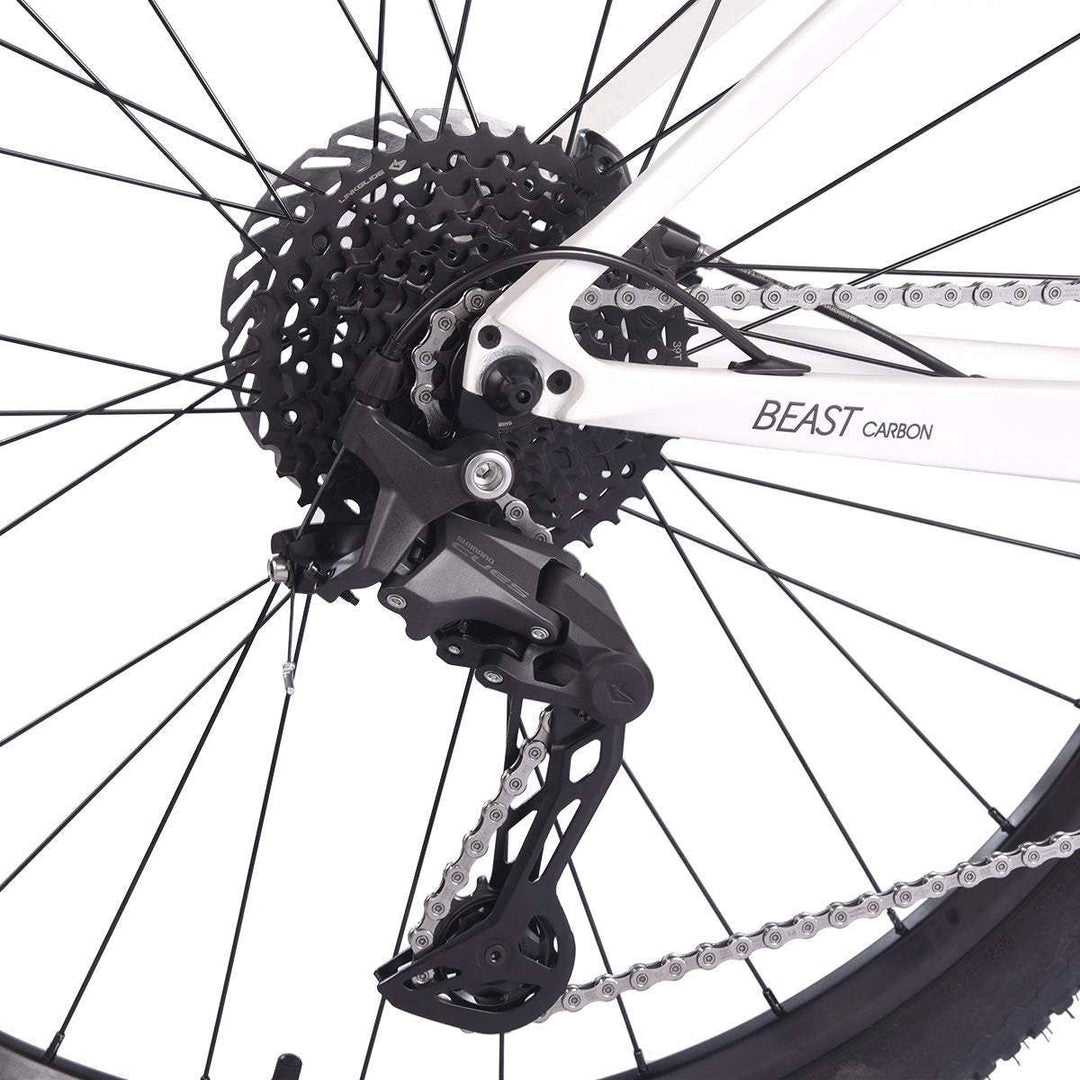 2023 SAVA BEAST U4.0 Carbon Hardtail Mountain Bike 20 Speed - SAVA Carbon Bike