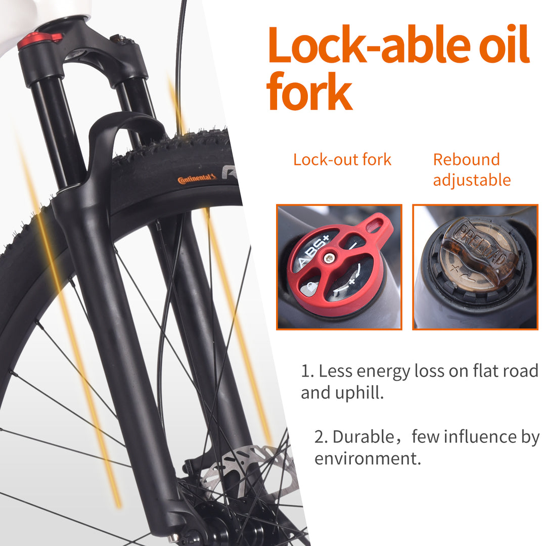 Lockabel oil fork|SAVA Carbon Bike