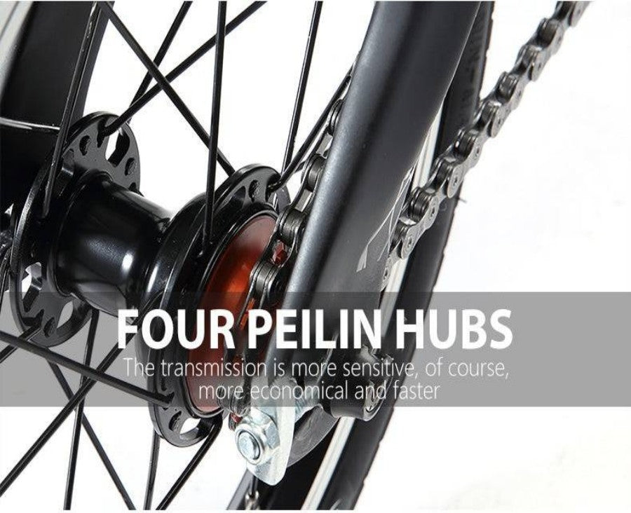 four bearing hubs-sava z0 folding bike