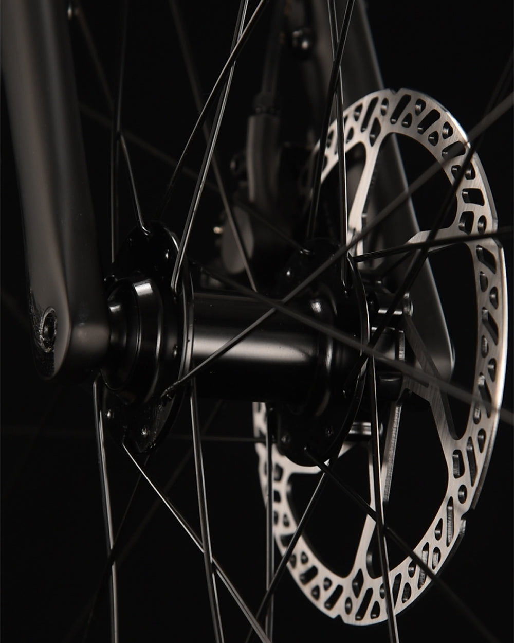 SAVA Gelaro S6- 12SP