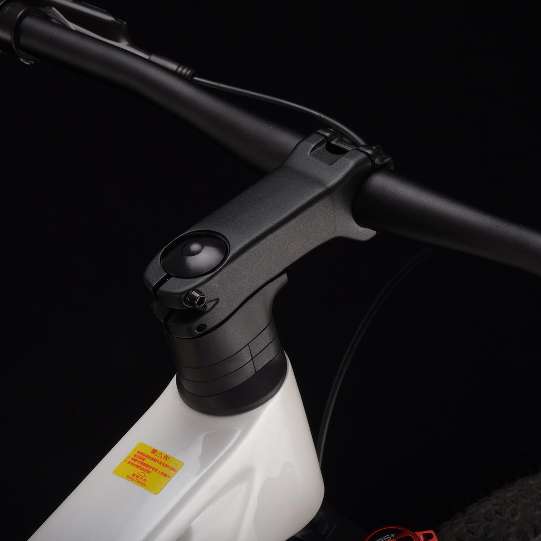 SAVA Lantop 612-Deore M6100 Carbon Mountain Bike 12SP
