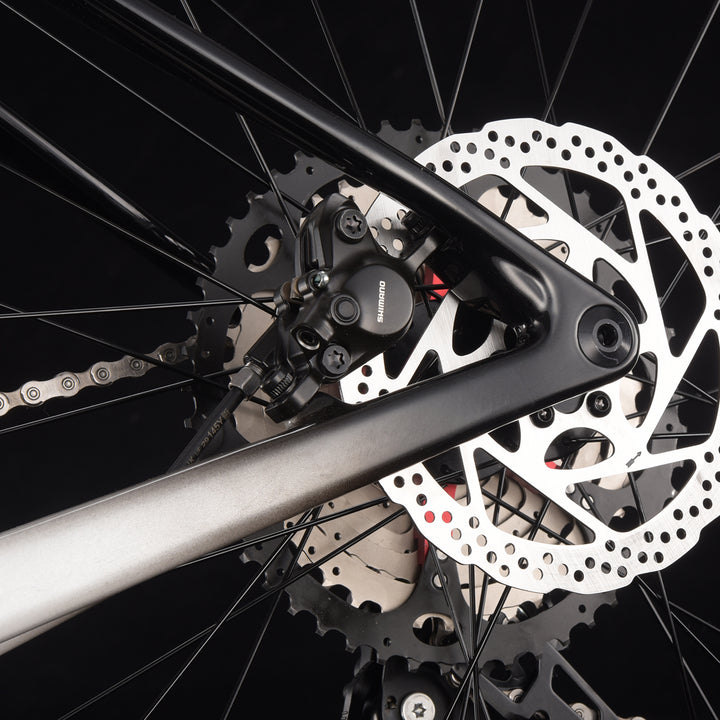 SAVA Lantop 612-Deore M6100 Carbon Mountain Bike 12SP