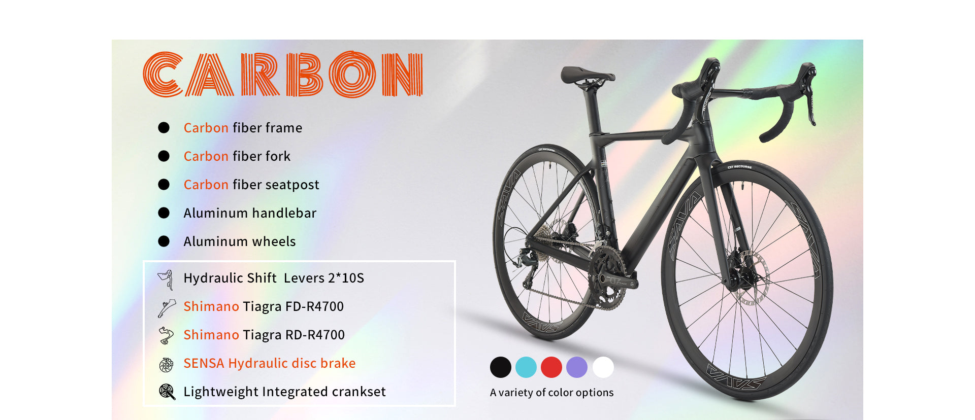 SAVA A4 Carbon Fiber Bicycle Configuration