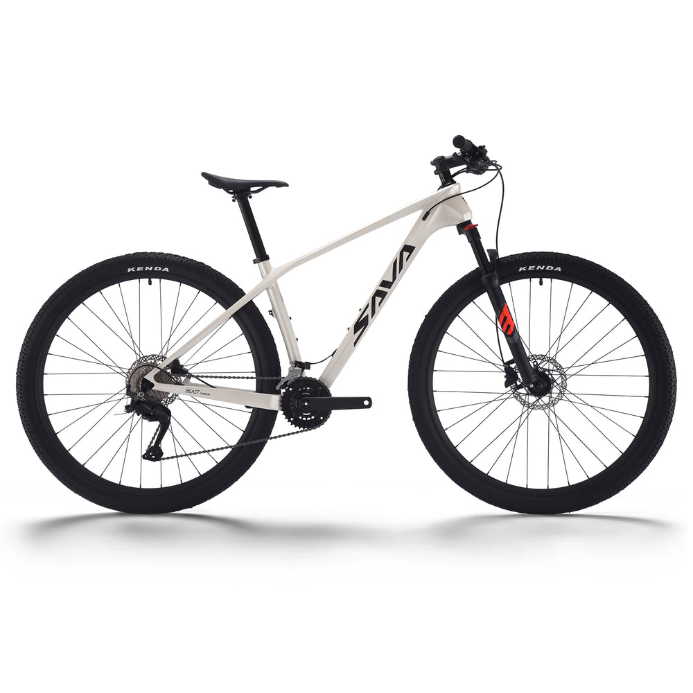 SAVA DECK2.0 carbon mountain bike-white