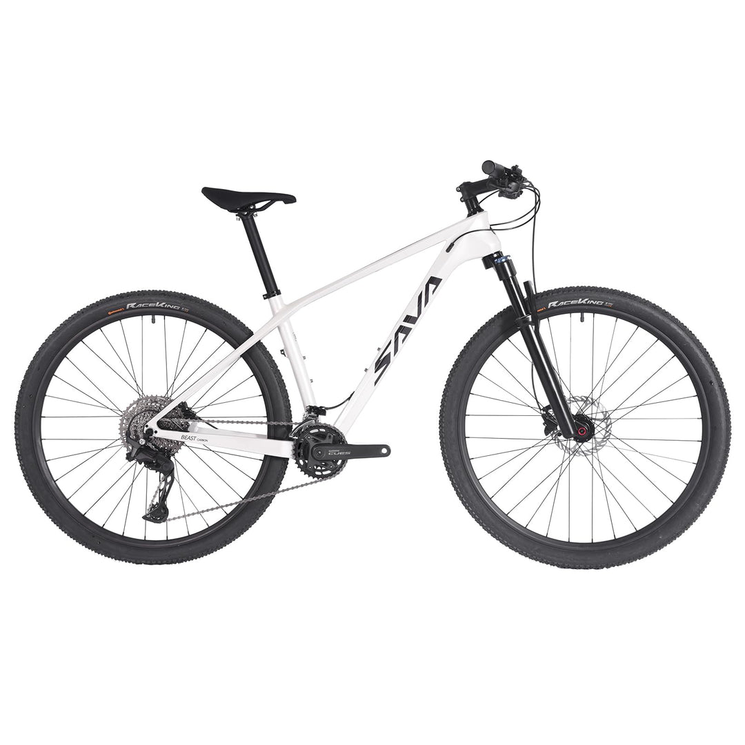 BEAST U6.0 Carbon Hardtail Mountain Bike 22S