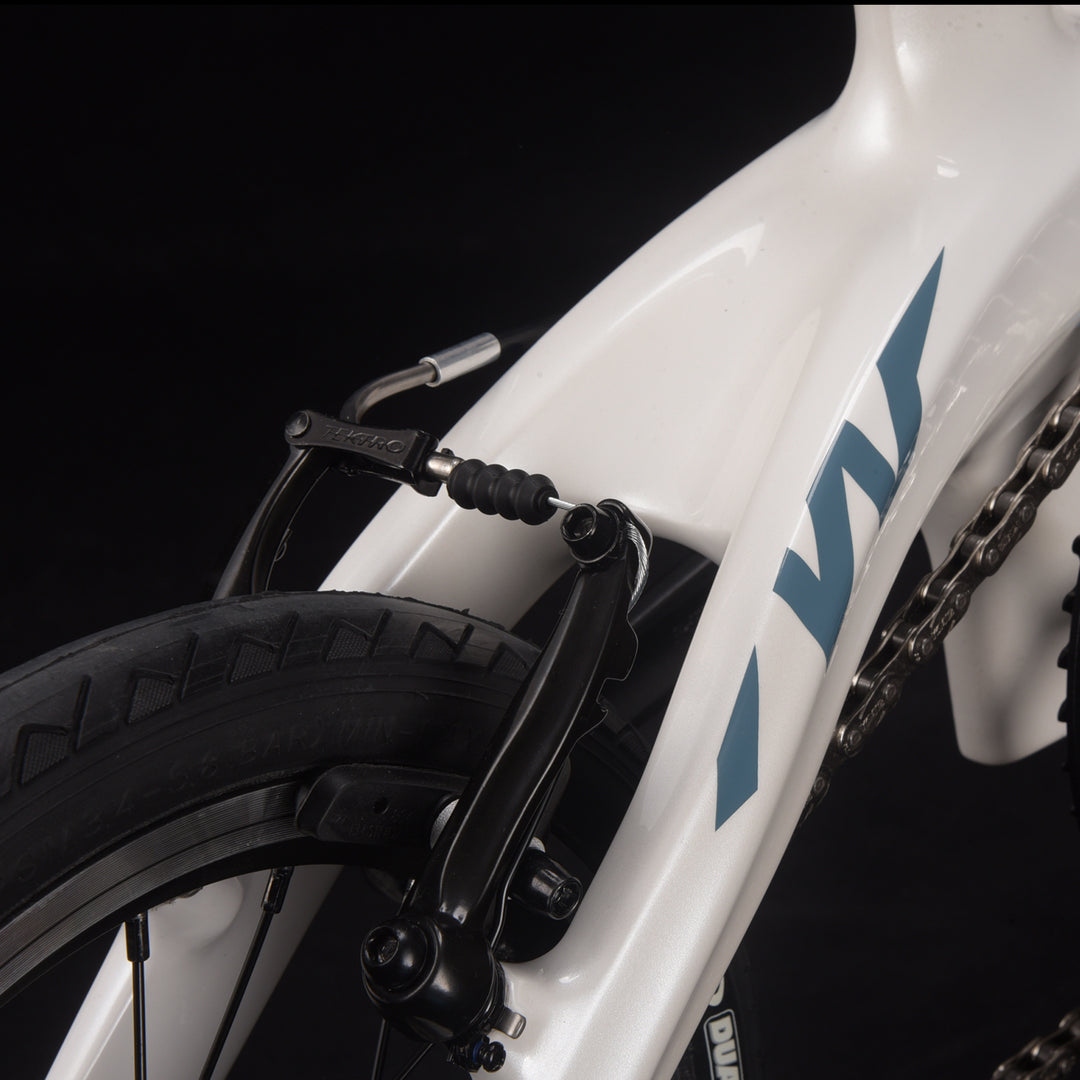 14inch SAVA Z0 carbon folding bike U Brake system