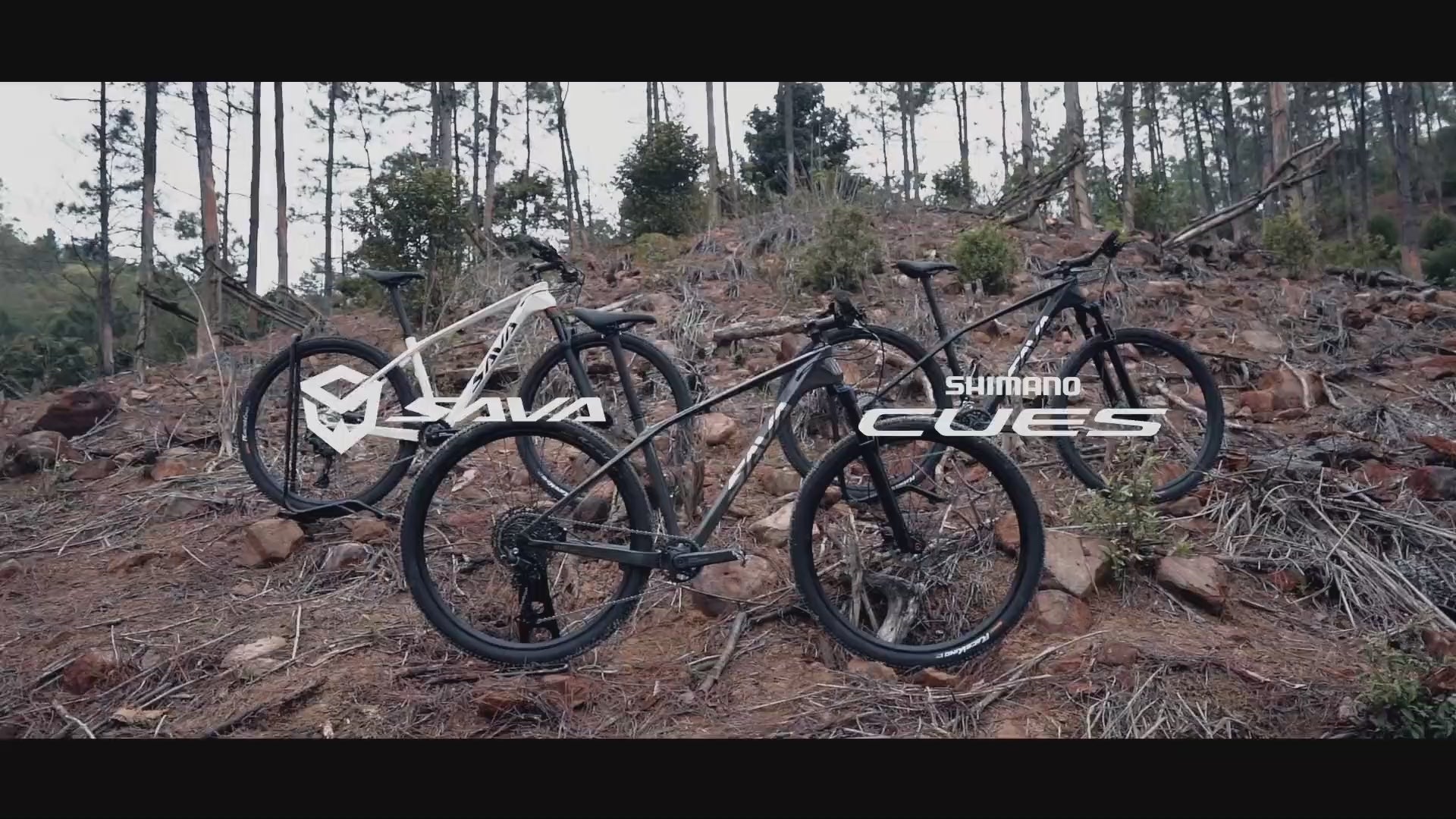 SAVA BEAST U6.0 Carbon Hardtail Mountain Bike 11Speed