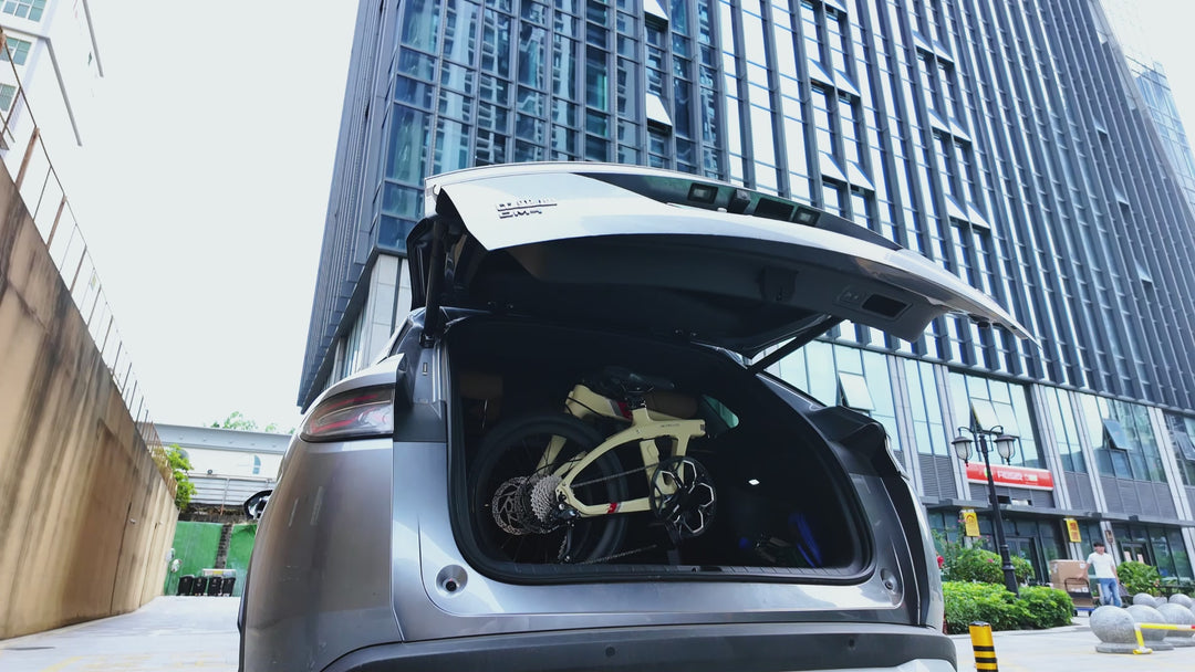 20インチ Z1 カーボンファイバー折りたたみ自転車 9S