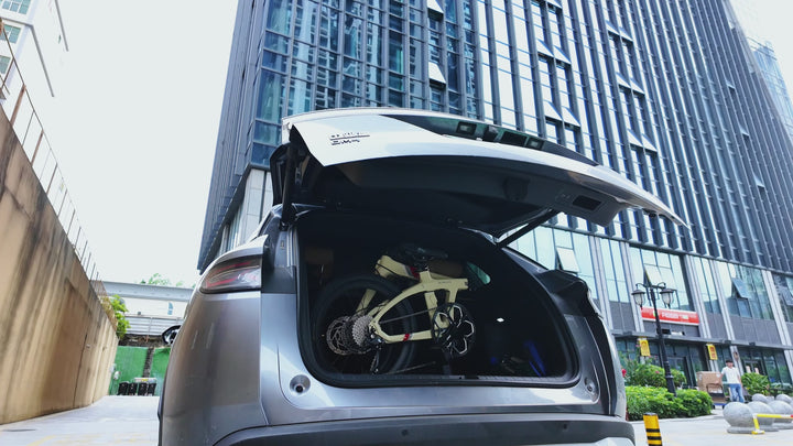20インチ Z1 カーボンファイバー折りたたみ自転車 9S