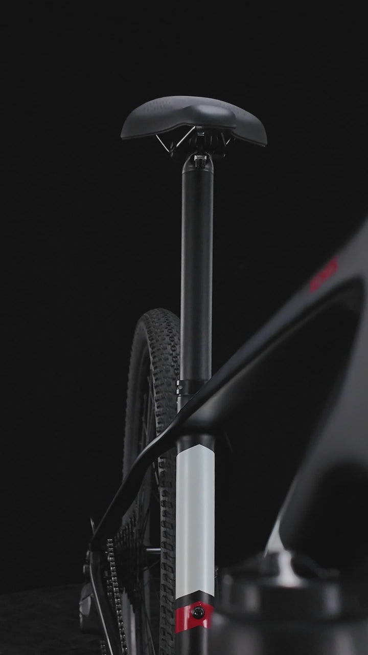 SAVA DECK5.0 Carbon Mountain Bike 27.5 29 Pulgadas Rueda Tamaño 22 Velocidad
