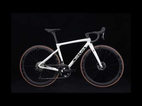 Hawkeye F20 Full Carbon racefiets 24V