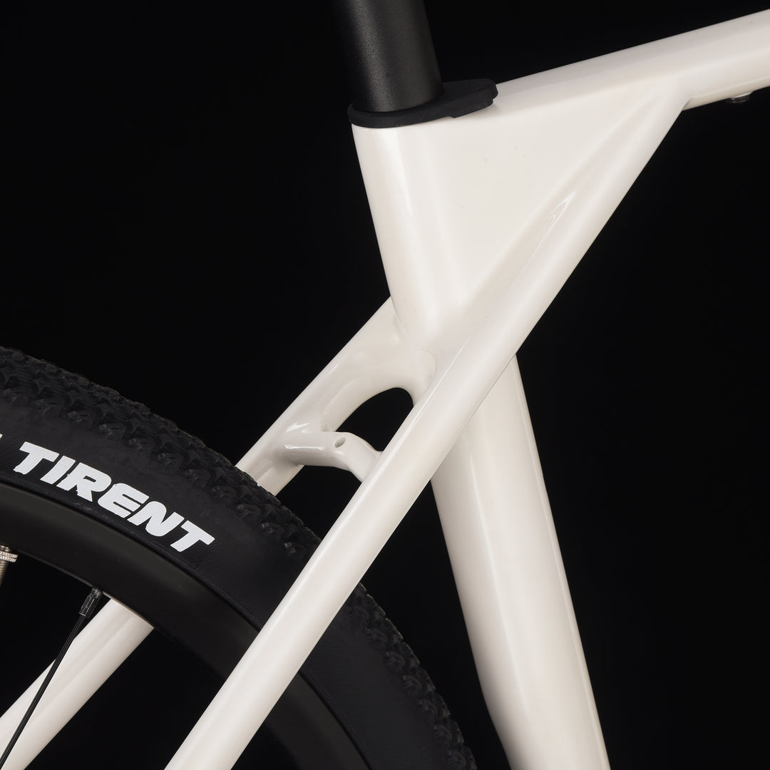 rear fork|sava gelaro sf6|cues u6020