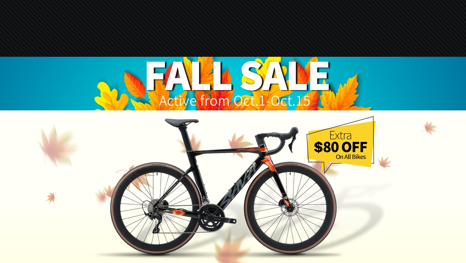 fall sale-sava carbon bike