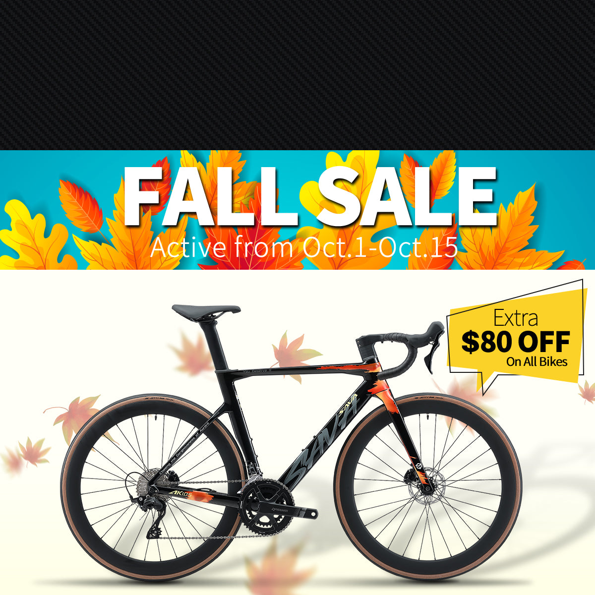 fall sale-sava carbon bike